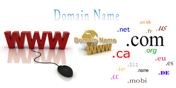Dịch vụ Domain